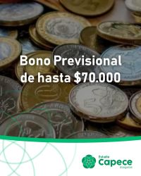 bono_noviembre_25_1